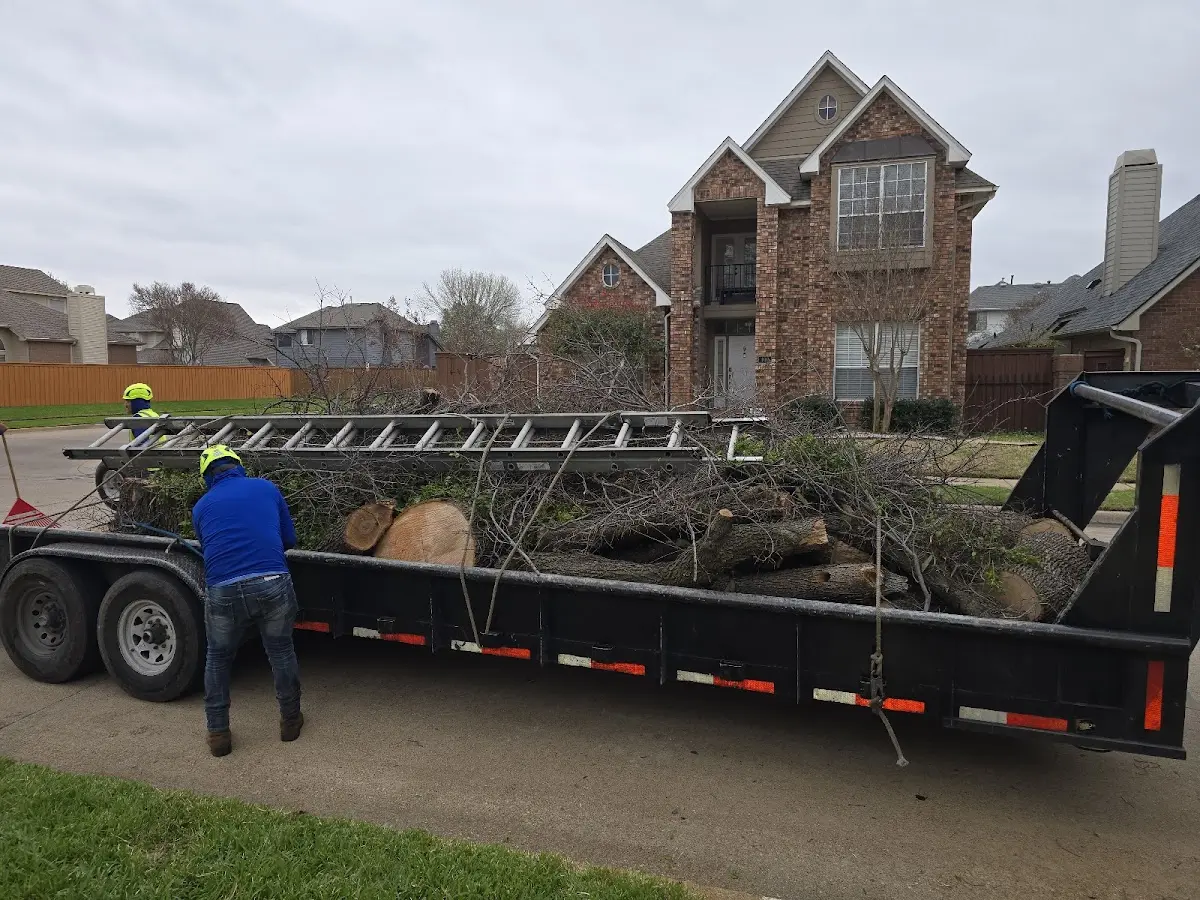 Expert Tree Fertilization with proper safety equipment in Ekron